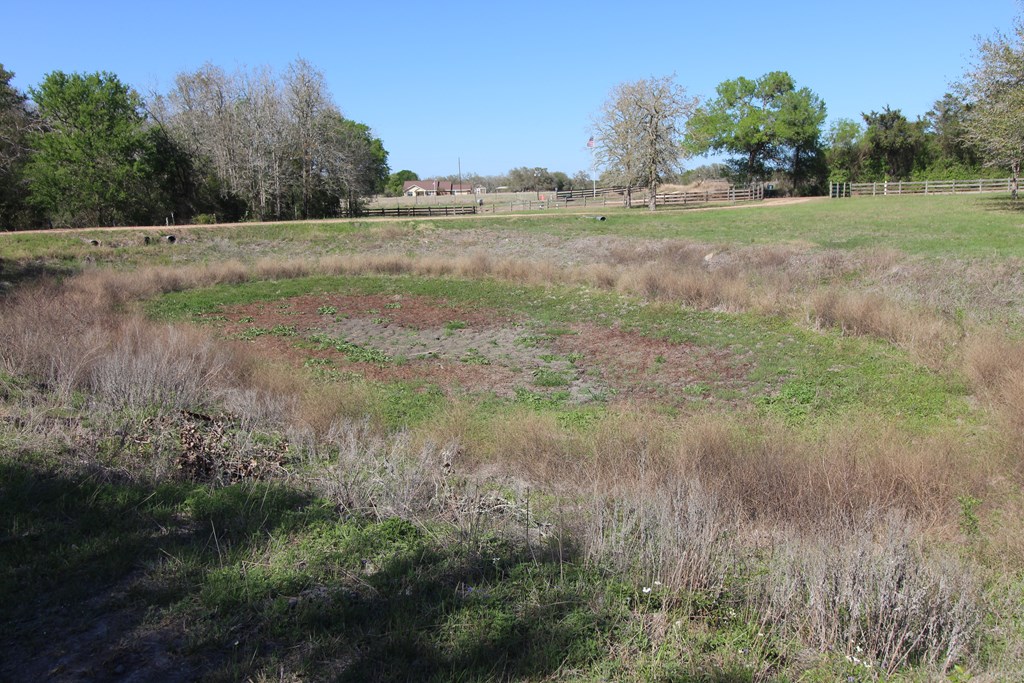 Round Top, Texas, 78946, United States, 3 Bedrooms Bedrooms, ,3 BathroomsBathrooms,Residential,Active,2034012