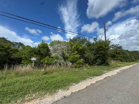 MLS: 155384