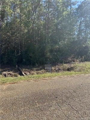 0 STILLWOOD ROAD, DERIDDER, LA 70634 - Image 00f569ad35799abcdea38113b2896e7e/3919658635