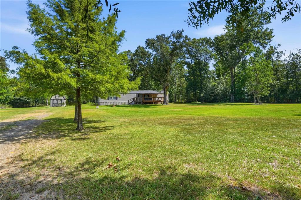 458 Andrew Mouhot Road - Photo 2