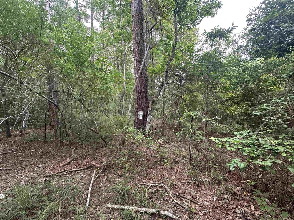 TBD US 165 - Photo 2