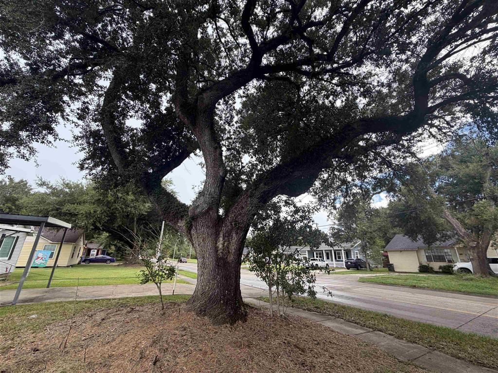 1630 12th Street - Photo 2