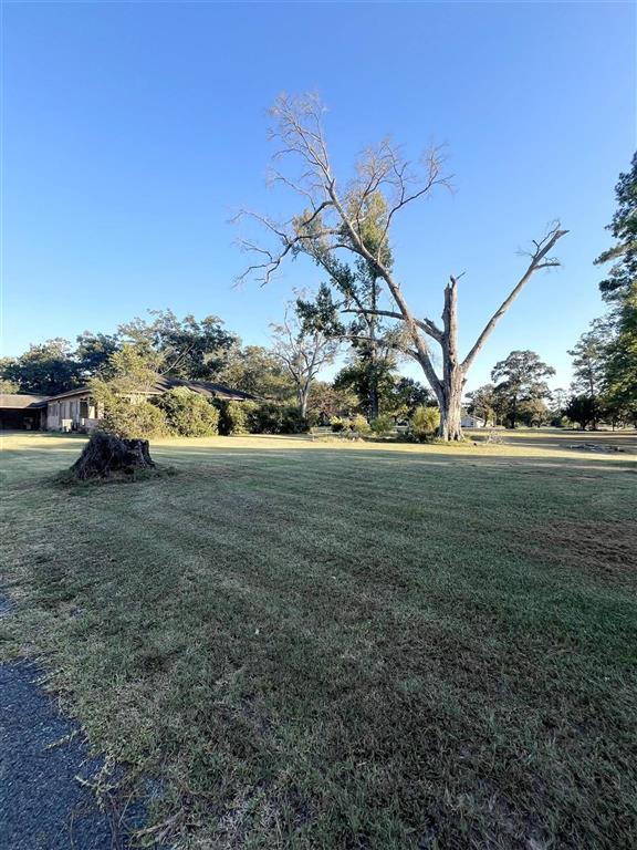 335 Cole Road - Photo 2