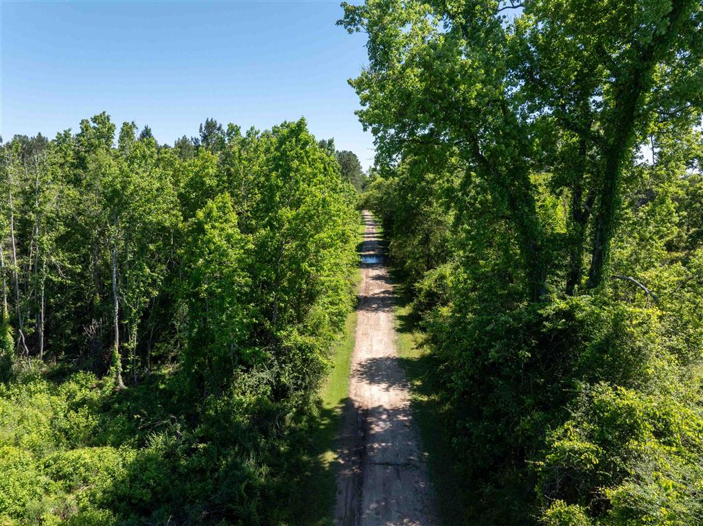 000 Morrow Bridge Road - Photo 2
