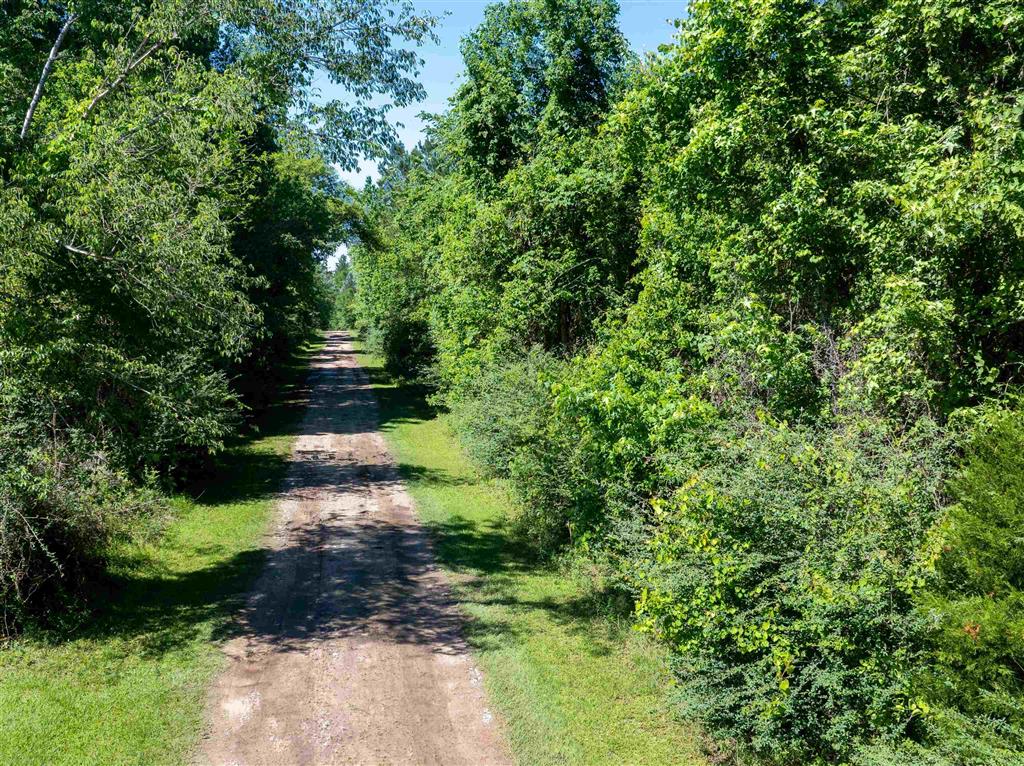000 Morrow Bridge Road - Photo 3