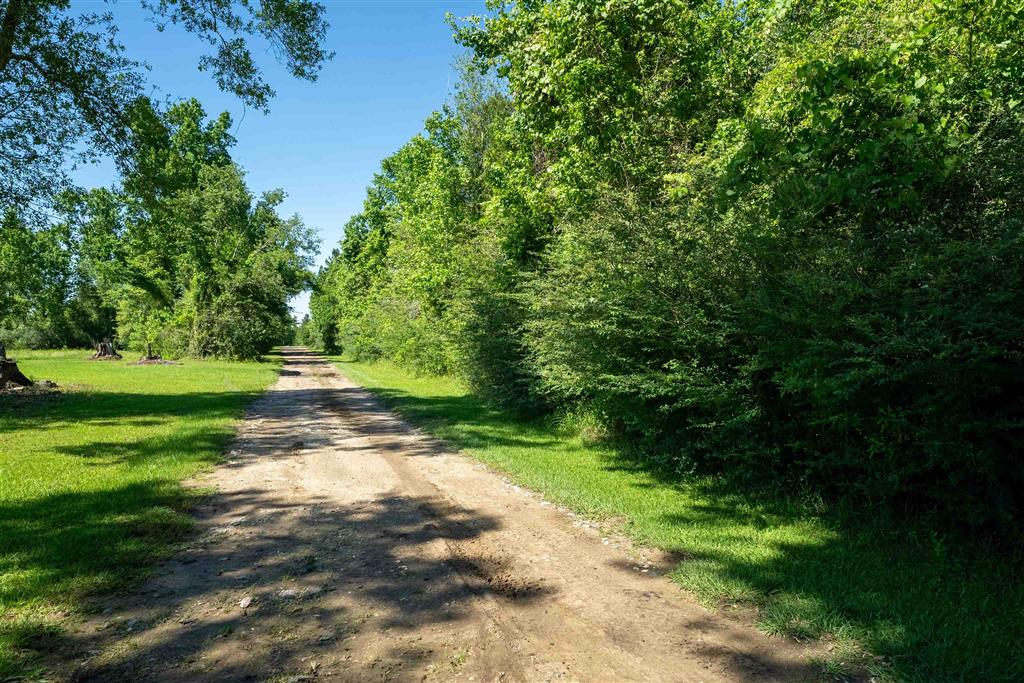 000 Morrow Bridge Road - Photo 4