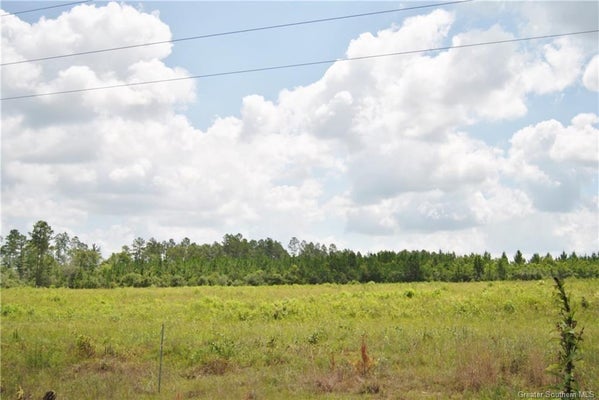 0 HIGHWAY 171 HIGHWAY, LONGVILLE, LA 70652 - Image 209b2f4f4e2a2423c336f868c769c016/3880033784