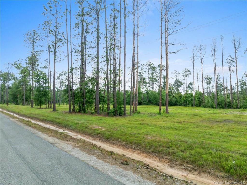 Photo 1 of 9 — 0 Duke Hollingsworth Road, Ragley, LA 70657