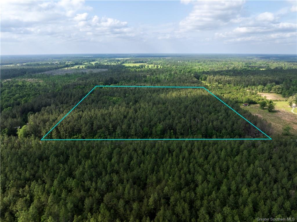 0 Morrow Bridge Road - Photo 4