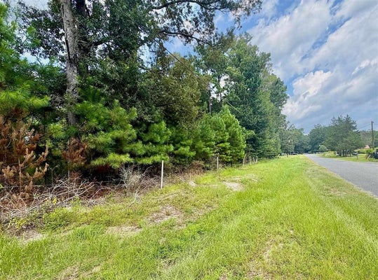 311 ROGERS LOOP, LEESVILLE, LA 71446 - Image 2b3fdd1948b1d9bdfd745610a8f00101/3378072922