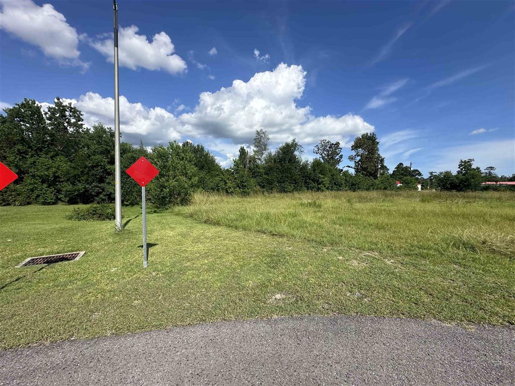1003 New Castle Dr - Photo 2