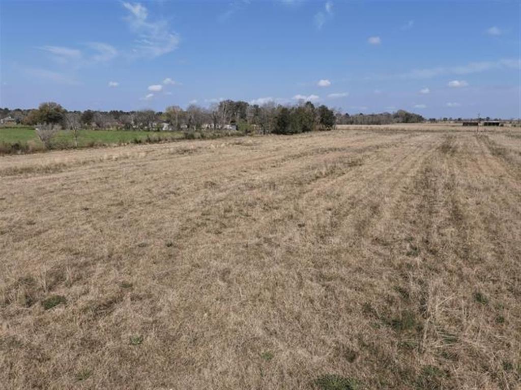 0 Sidney Derouen Road - Photo 3