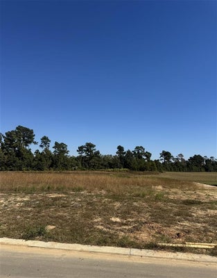 3149 SNOWY EGRET DRIVE, LAKE CHARLES, LA 70615 - Image 3ac65bd2ad9b296988624b68a5c76d7b/393554976