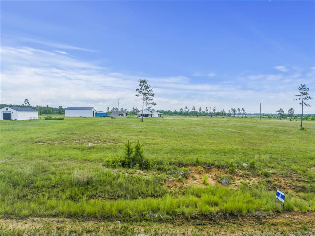 2732 Camp Edgewood Road - Photo 2