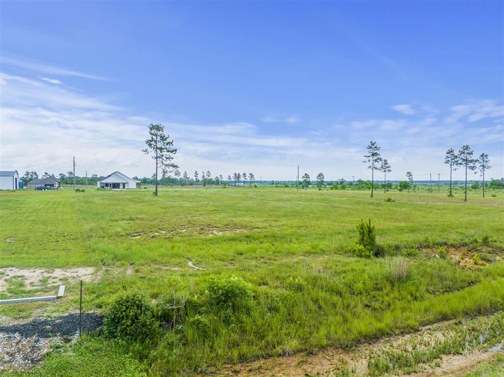 2732 Camp Edgewood Road - Photo 3