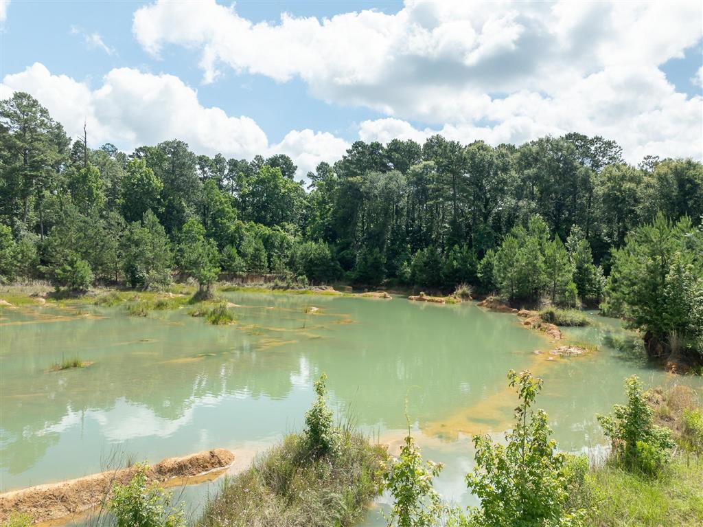 13335 Hwy 112 - Photo 3