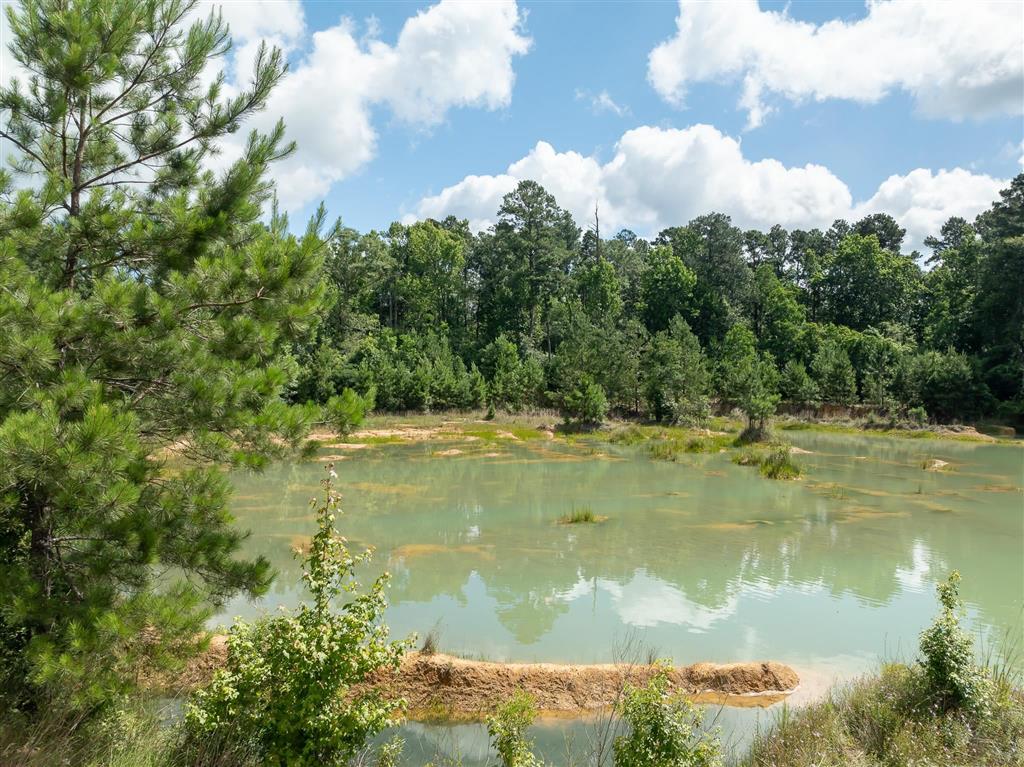 13335 Hwy 112 - Photo 4