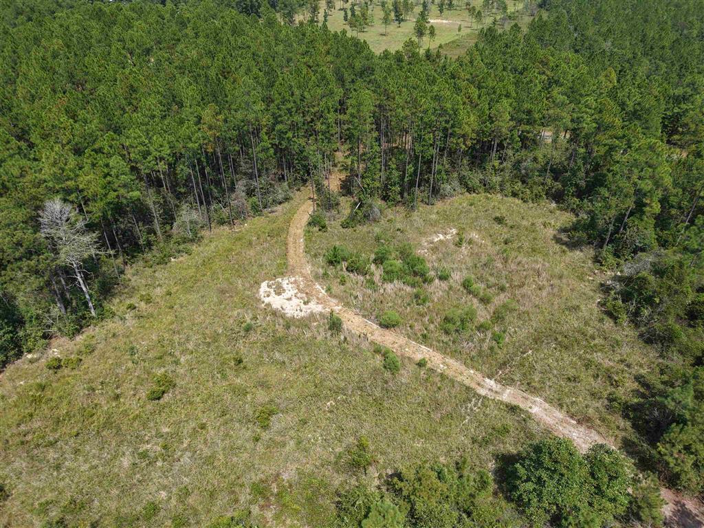 1150 Alston Cemetery Road - Photo 3