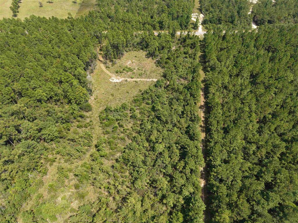 1150 Alston Cemetery Road - Photo 4