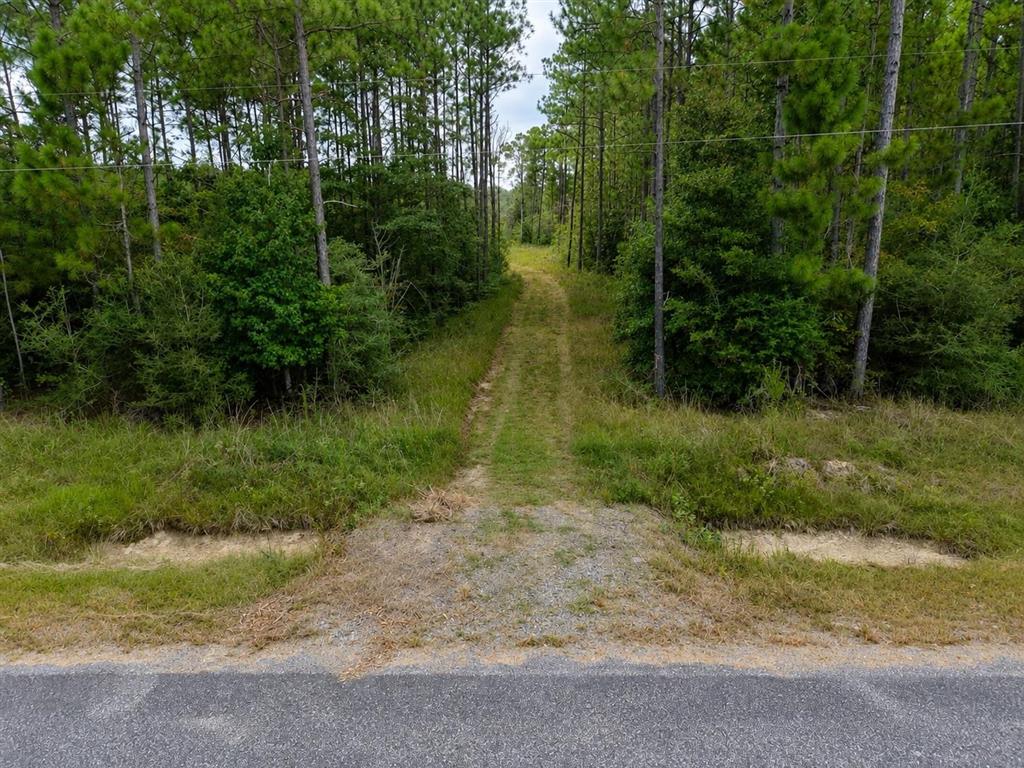 1150 Alston Cemetery Road - Photo 2