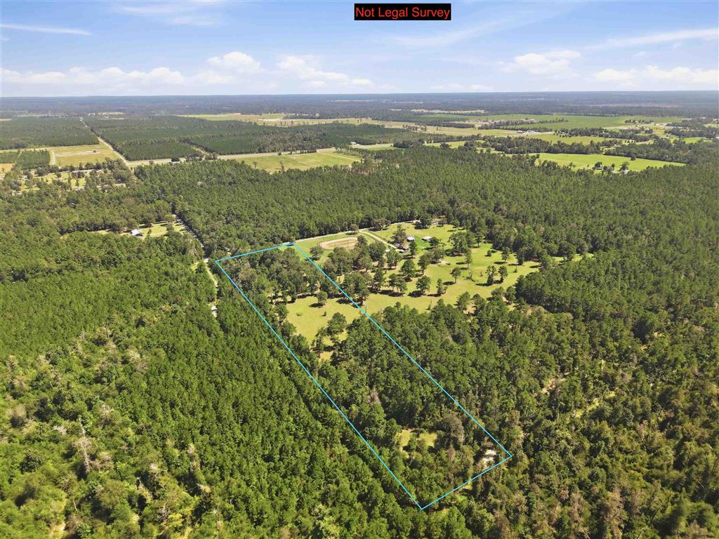 0 Bushnell Road - Photo 4
