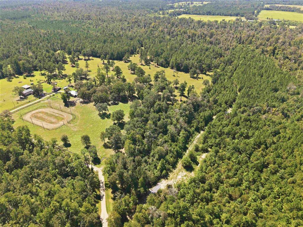 0 Bushnell Road - Photo 2