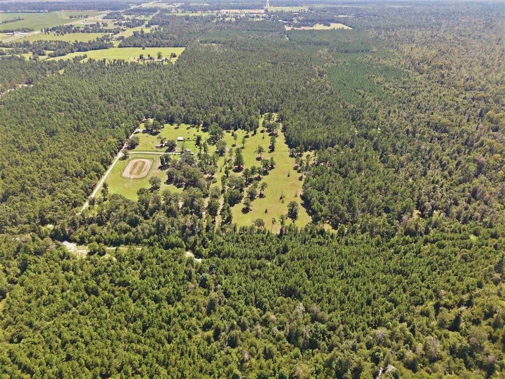 0 Bushnell Road - Photo 3