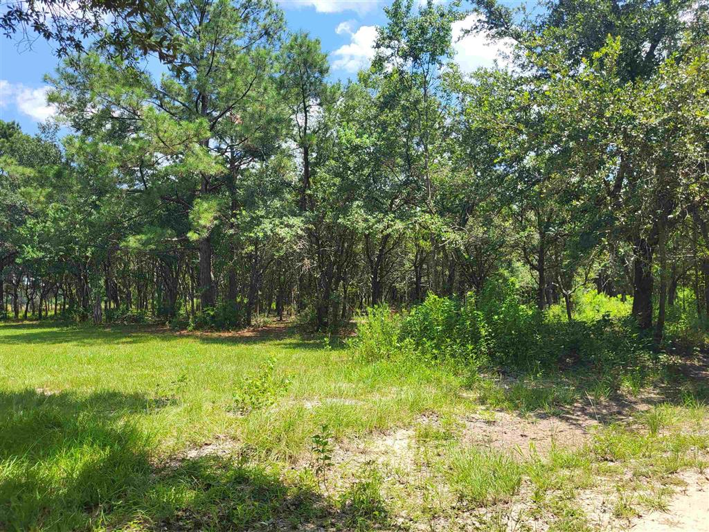 Photo 1 of 4 — 5944 River Road, Lake Charles, LA 70615