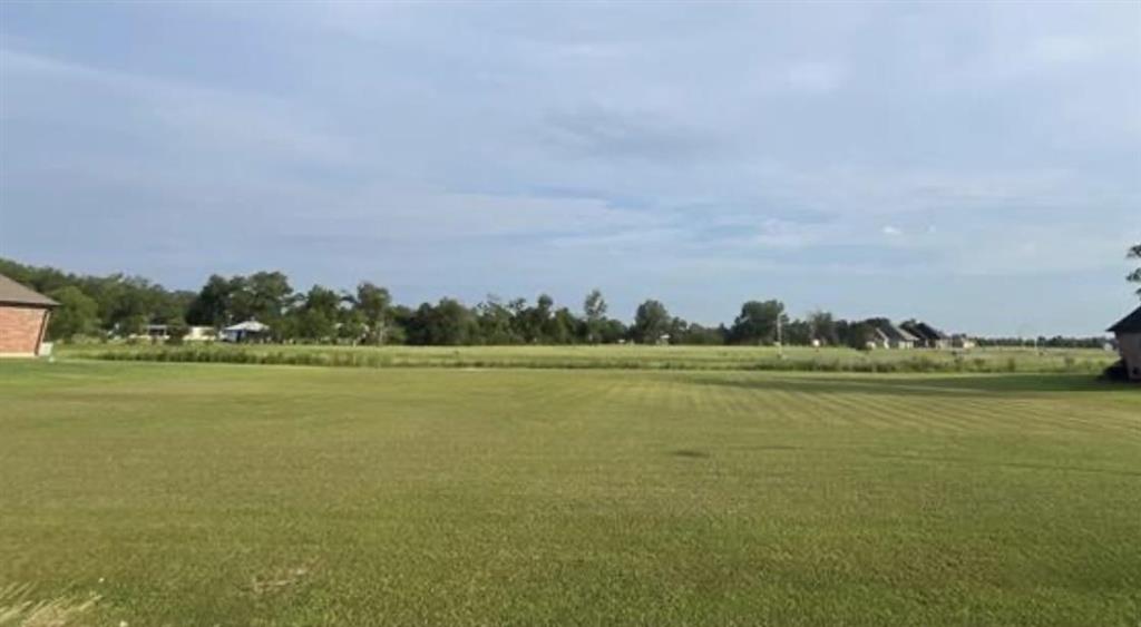 3157 Mesa Lane - Photo 3