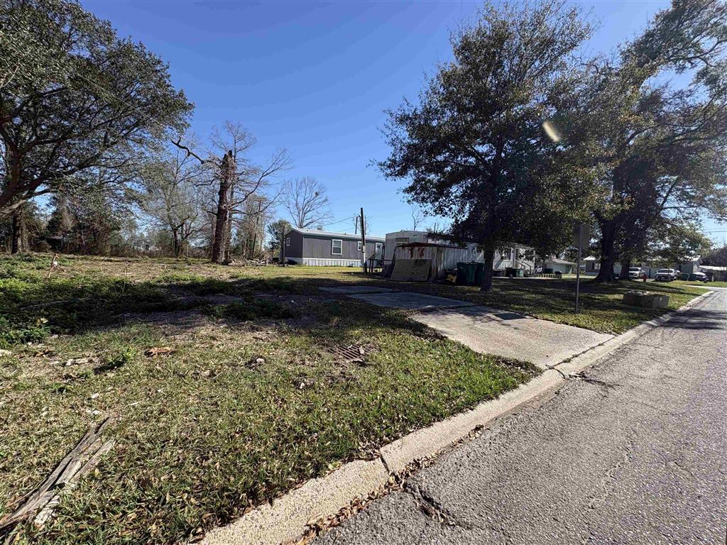 818 Live Oak Street - Photo 4