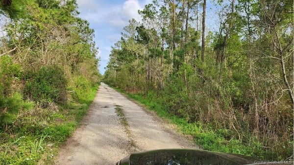 0 OLSEN ROAD, SULPHUR, LA 70665 - Image 671617d22f4a8f7db24283bfa64eb9de/3939756465