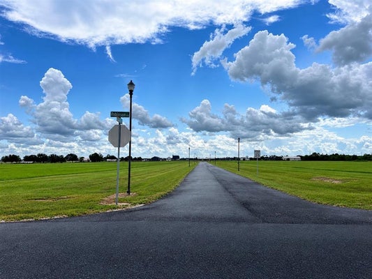 LUCY LN, LAKE CHARLES, LA 70607 - Image 73b04953b1f656d2a1dcb5276fe407ea/989900165