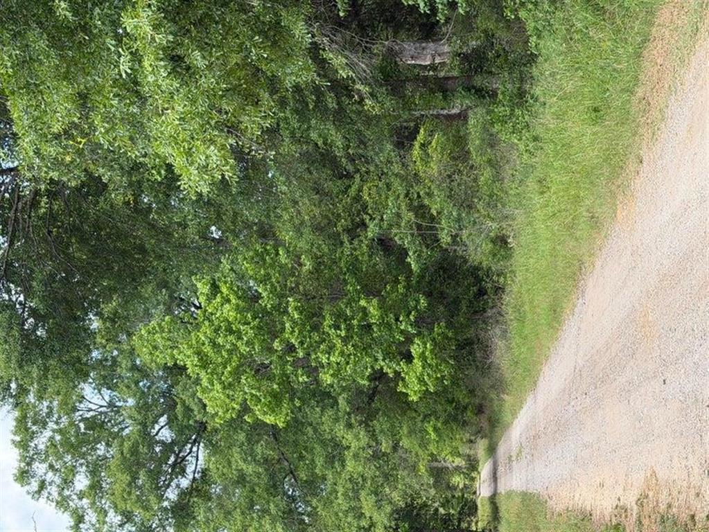1000 Highway 1147 - Photo 2