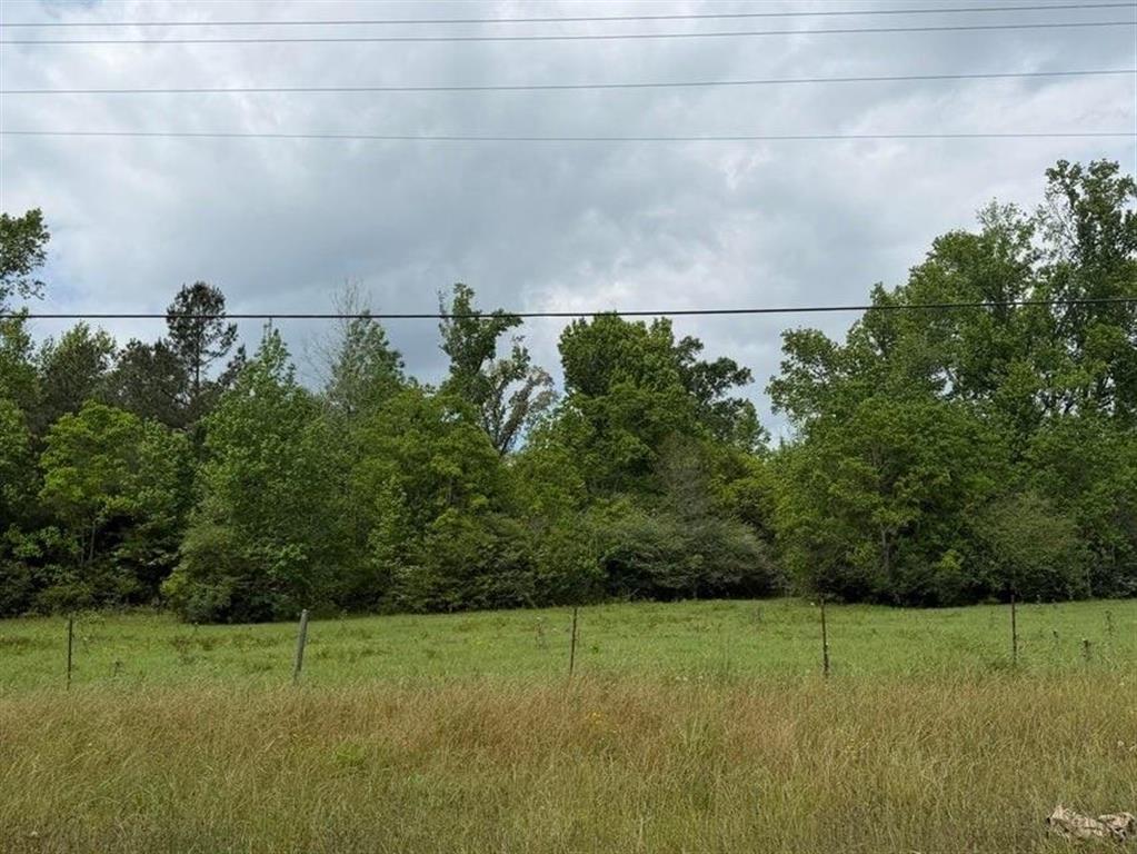 1000 Highway 1147 - Photo 3