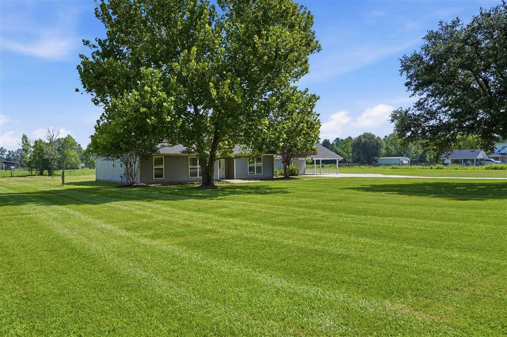 2854 Topsy Rd Road - Photo 2