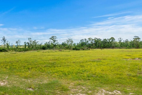 ADDRESS PRIVATE, REEVES, LA 70658 - Image 84e2aa4cee5da68bc81b5e55f8f848de/520122460