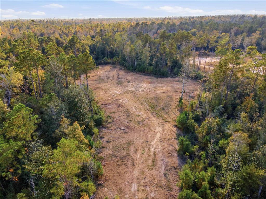 2755 Bay Forest Drive - Photo 2