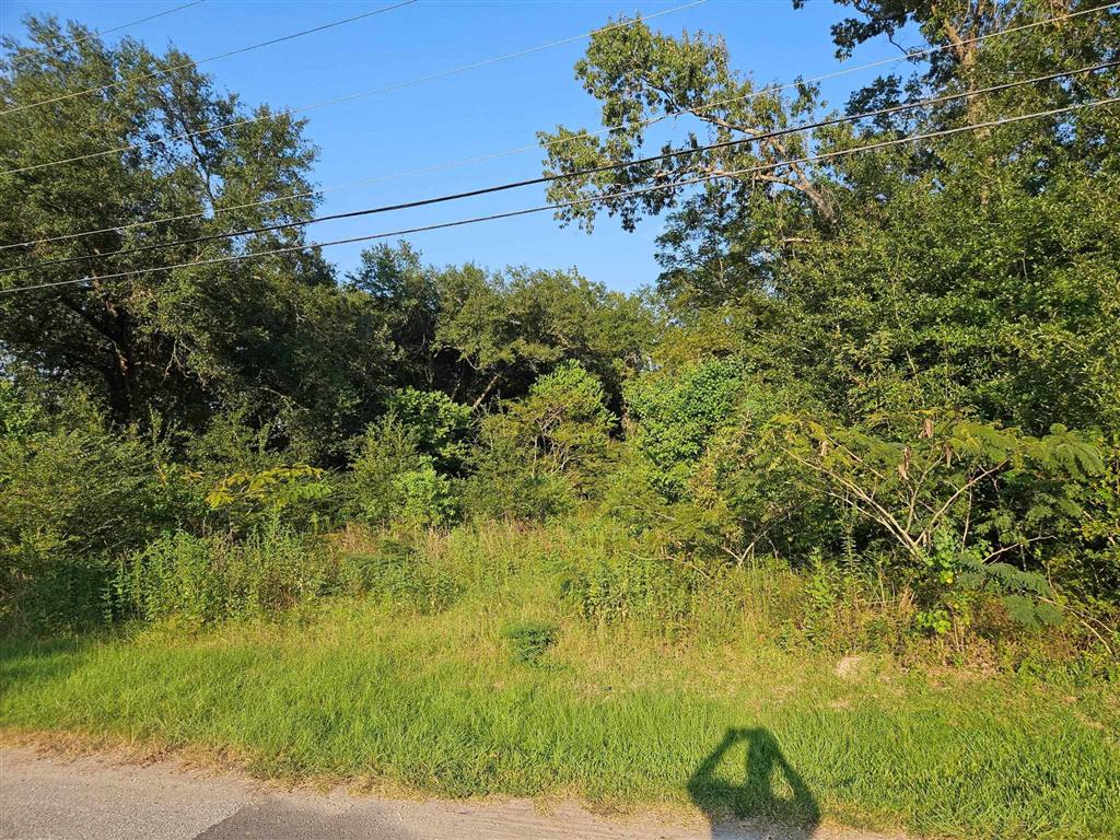 808 Oak Street - Photo 3