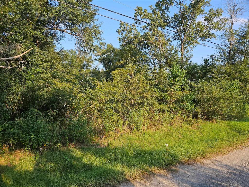808 Oak Street - Photo 2