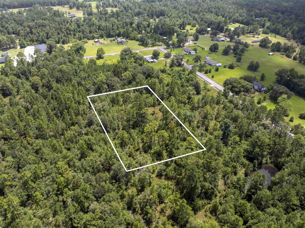 1353 Rosie Hollie Road - Photo 4
