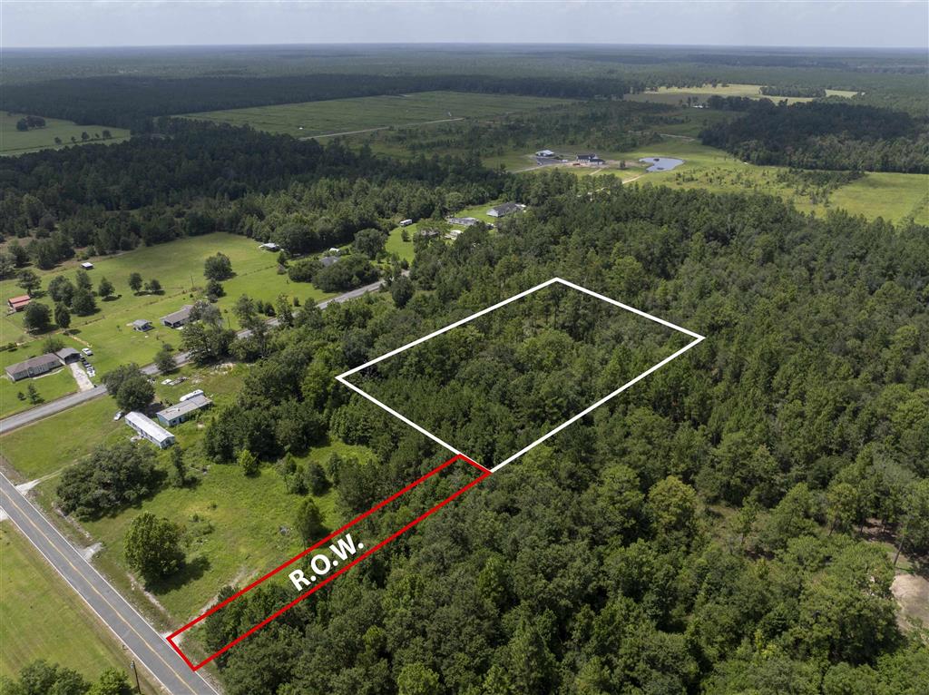 1353 Rosie Hollie Road - Photo 3
