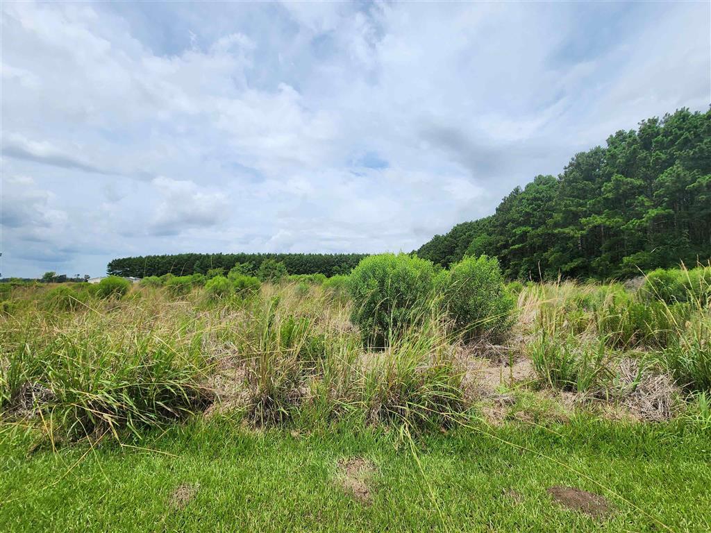 560 Jessie Johnson Road - Photo 2