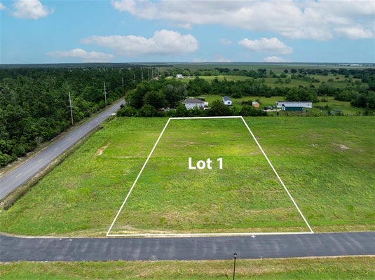 SILVER LN, LAKE CHARLES, LA 70607 - Image b4a758e587d7ec9eef9c414486b0c879/2203791553