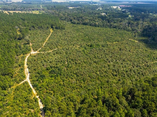 PAUL MCMILLIAN RD, DERIDDER, LA 70634 - Image b80fd0131f3ff0bee2ebb8a3e1c2403a/318837832