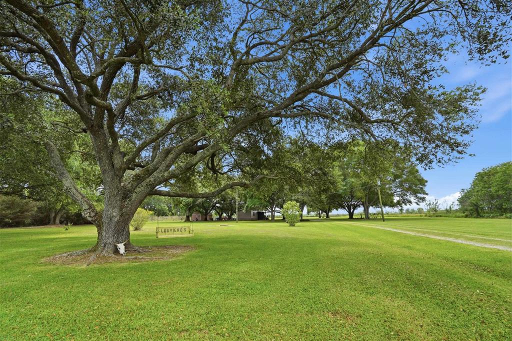 12175 Pine Island Highway - Photo 4