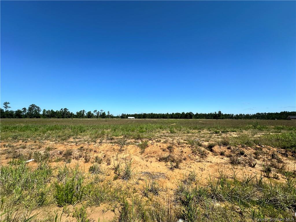 Photo 1 of 37 — 0 Canna Lily Drive, Ragley, LA 70657
