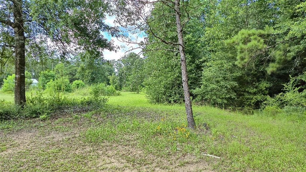Photo 1 of 10 — 340 Adrian Guidry Road, Longville, LA 70652