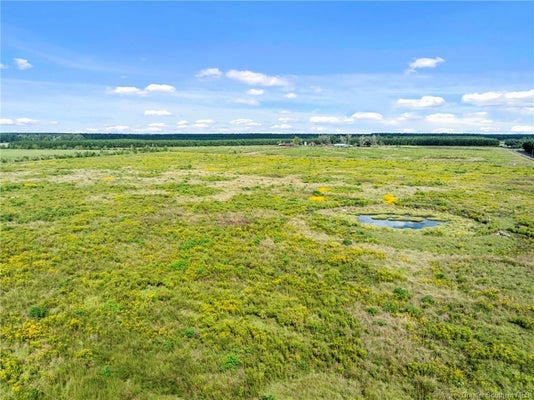 REA RD, DERIDDER, LA 70634 - Image d5c060ef1df3a9ad00a97e43bbd5fd29/981083573