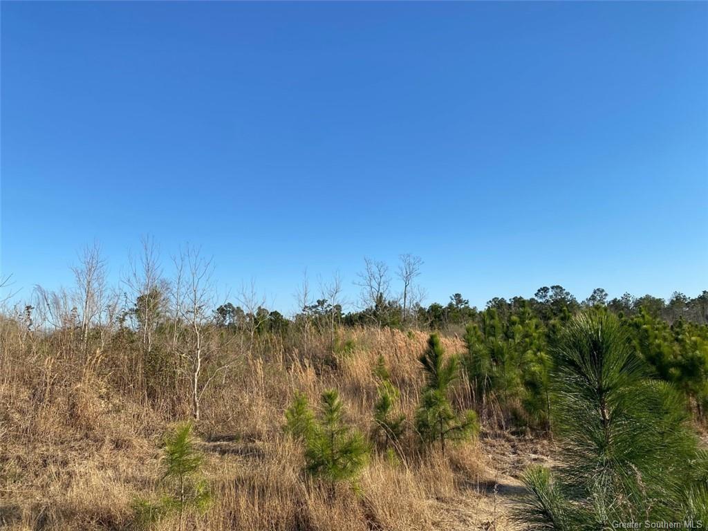 Photo 1 of 3 — 0 College Heights, Lake Charles, LA 70605