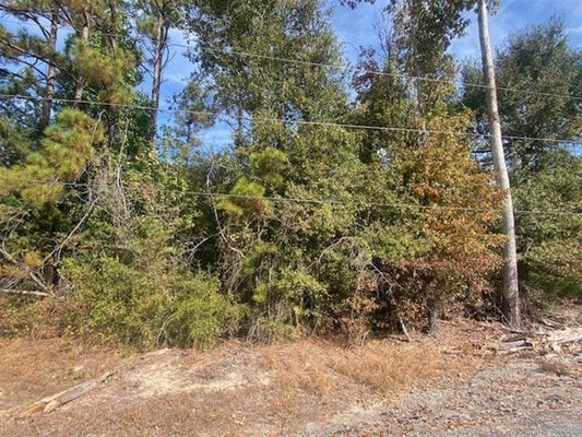 0 DAVY LANE, WESTLAKE, LA 70669 - Image e09681b8f54dfd74ba631c2c302b48db/4209624975